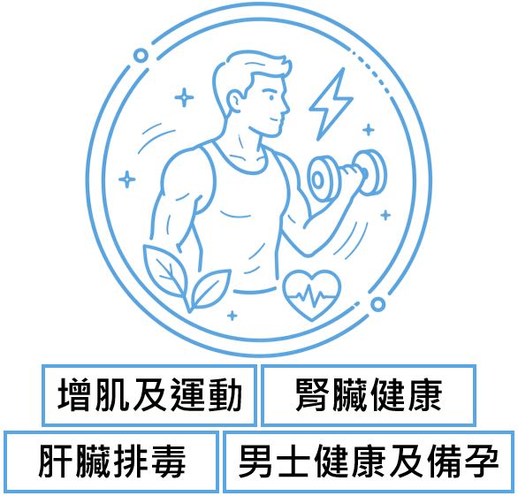 男士活力及運動專區