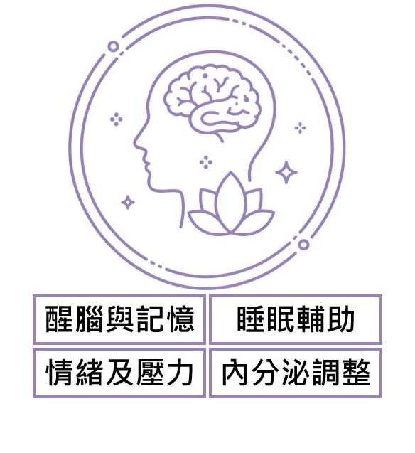 醒腦、減壓與代謝專區